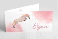 Paard met aquarel Paard met aquarel